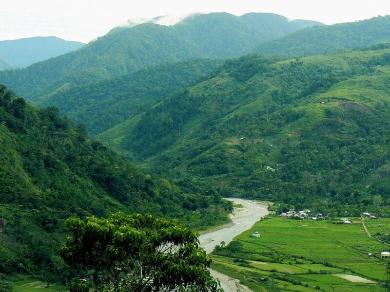 From Medan: Mount Leuser National Park Full-Day Trip - Key Points