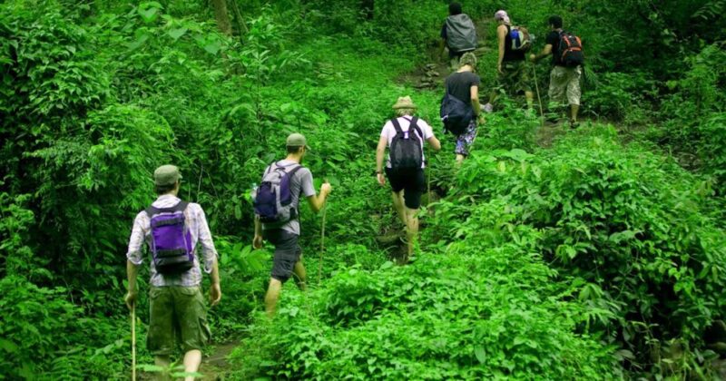 From Medan: Mount Leuser National Park Full-Day Trip - Customer Reviews and Feedback