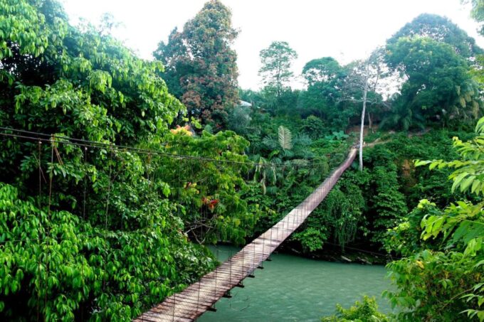 From Medan: Mount Leuser National Park Full-Day Trip - Guided Jungle Hike Experience