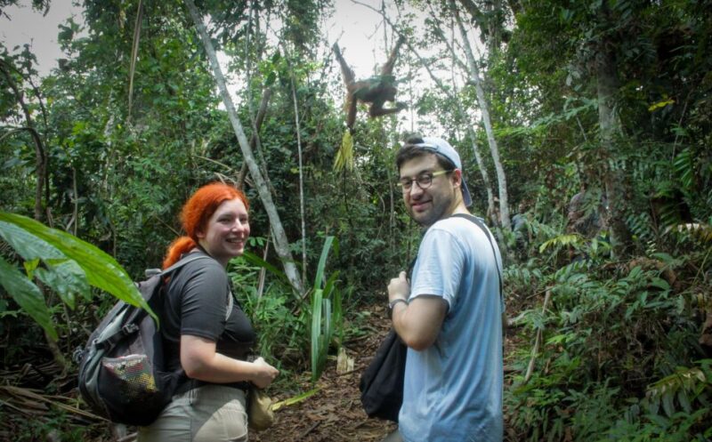 From Medan: Mount Leuser National Park Full-Day Trip - Itinerary and Activities