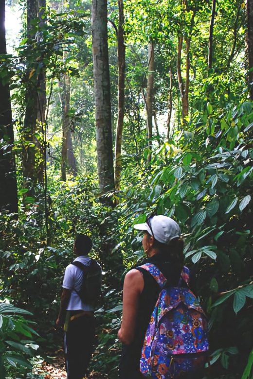 From Medan: Mount Leuser National Park Full-Day Trip - Inclusions