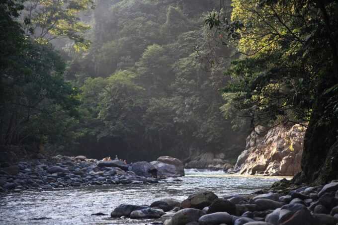 From Medan: Mount Leuser National Park Full-Day Trip - Getting to Bukit Lawang