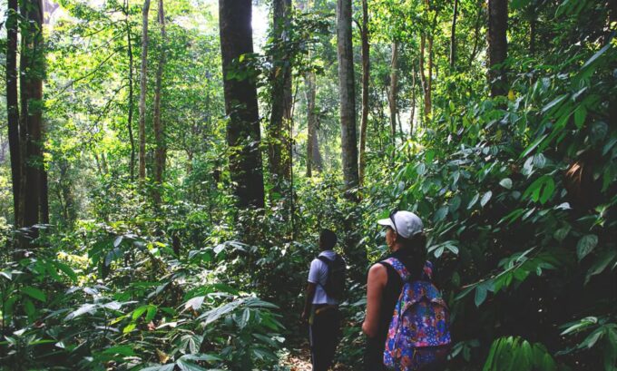 From Medan: Mount Leuser National Park Full-Day Trip - Frequently Asked Questions
