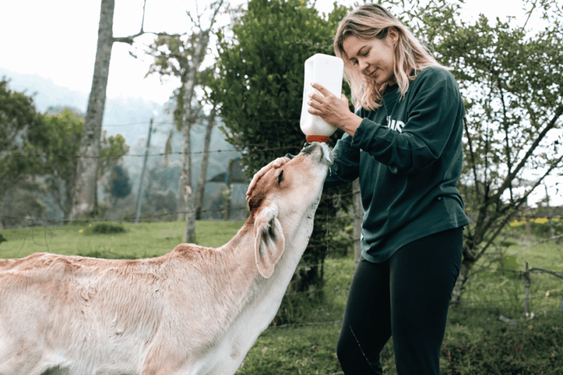 From Medellin: 100-Year-Old Finca Horseback Riding & More - Key Points