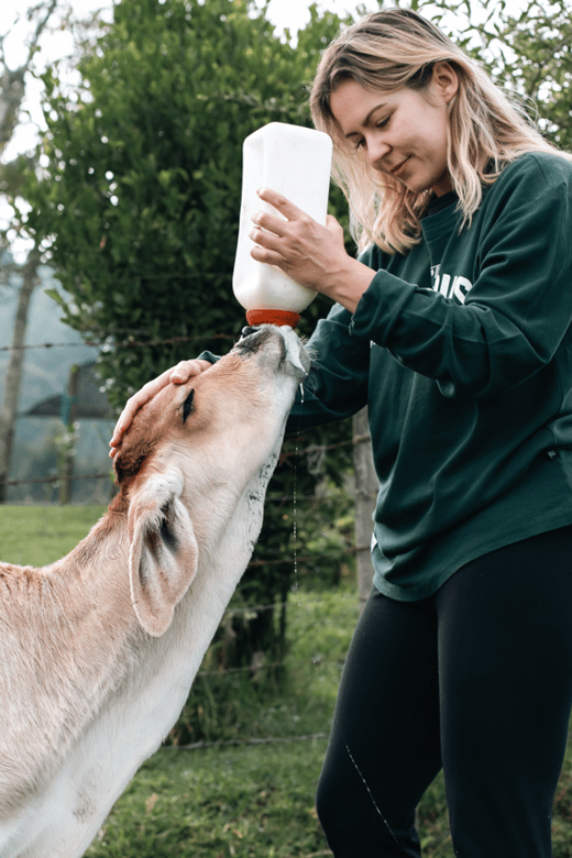 From Medellin: 100-Year-Old Finca Horseback Riding & More - Customer Feedback