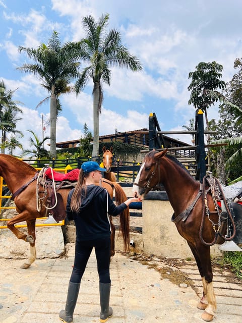 From Medellin: 100-Year-Old Finca Horseback Riding & More - Horseback Riding Adventure