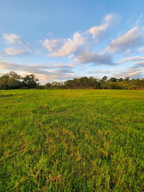 From Medellin; (All-In) The Real Horseback Ranch Experience - Highlights and Features