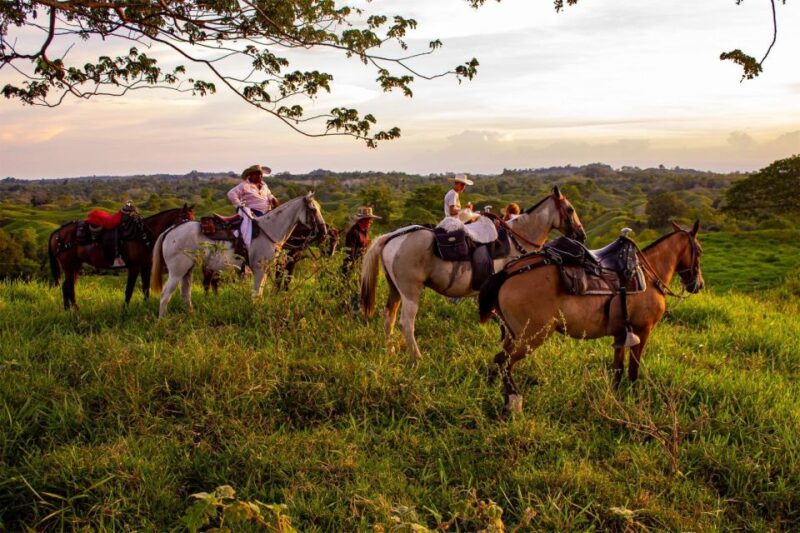 From Medellin; (All-In) The Real Horseback Ranch Experience - Pickup and Transportation