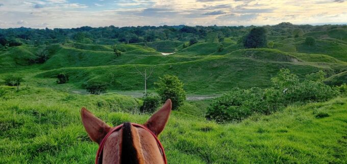 From Medellin; (All-In) The Real Horseback Ranch Experience - Activities and Schedule