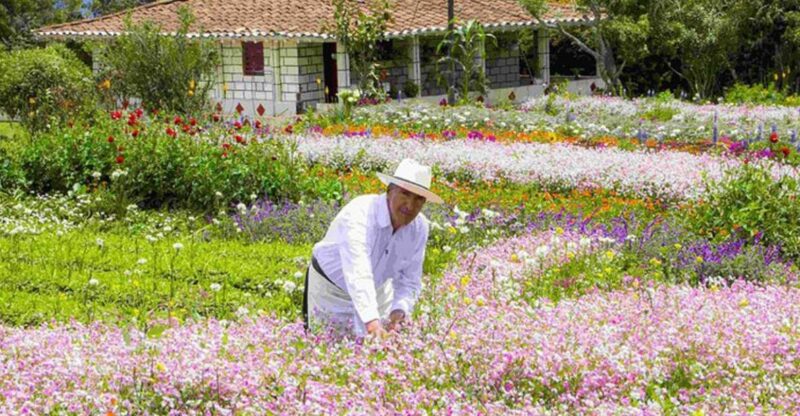 From Medellín: Colombian Flower Farm Private Full-Day Tour - Key Points