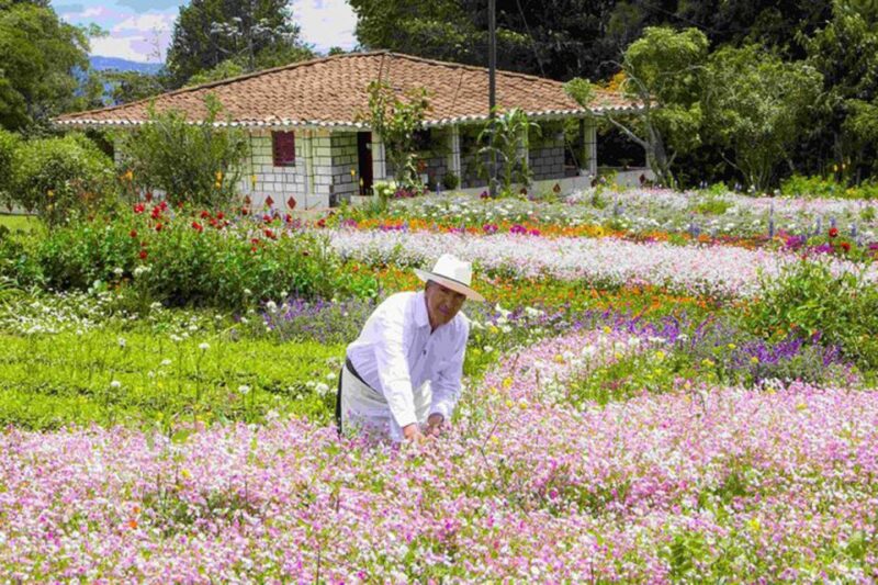 From Medellín: Colombian Flower Farm Private Full-Day Tour - Experience Highlights