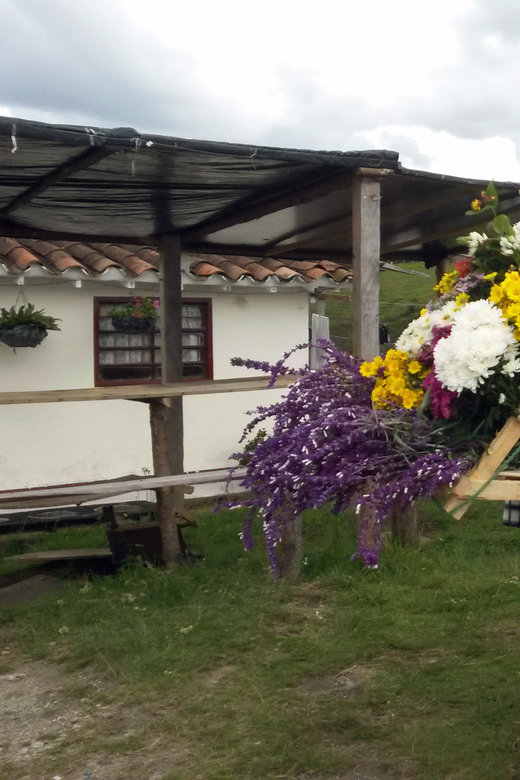 From Medellin: Flower Farm Tour - Experience Highlights