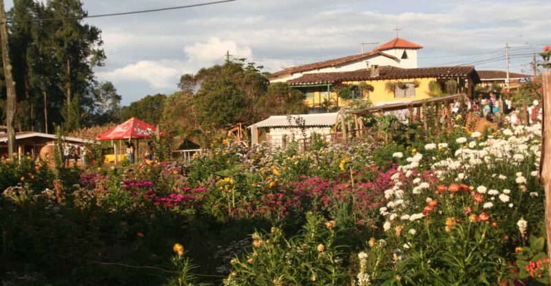 From Medellin: Flower Farm Tour - Experience Highlights