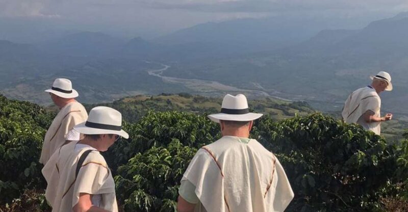 From Medellin: Full Day Fredonia Coffee Private Tour - Transportation and Pickup