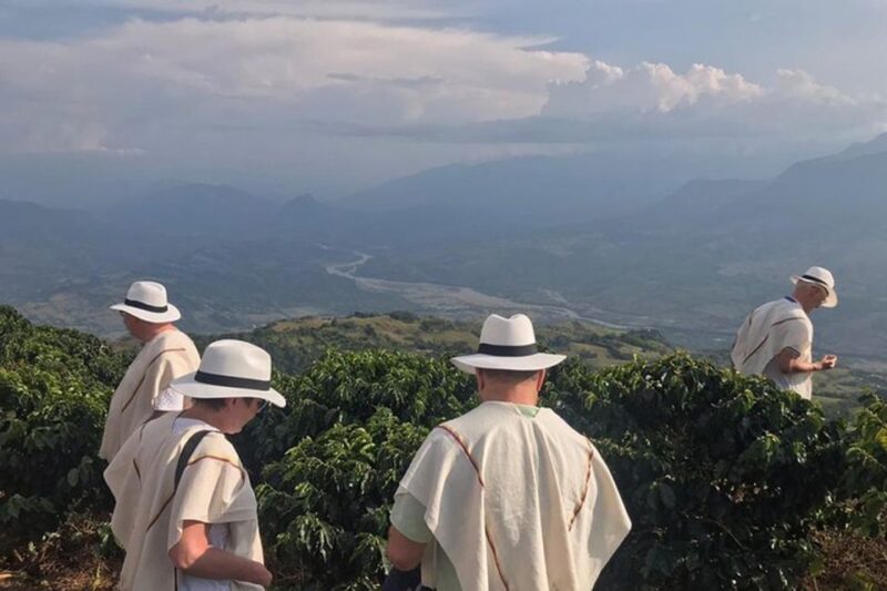 From Medellin: Full Day Fredonia Coffee Private Tour - Key Points