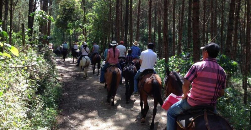 From Medellin: Guided Horseback Riding Tour in Nature - Inclusions