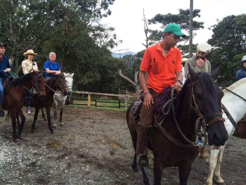 From Medellin: Guided Horseback Riding Tour in Nature - Booking Information