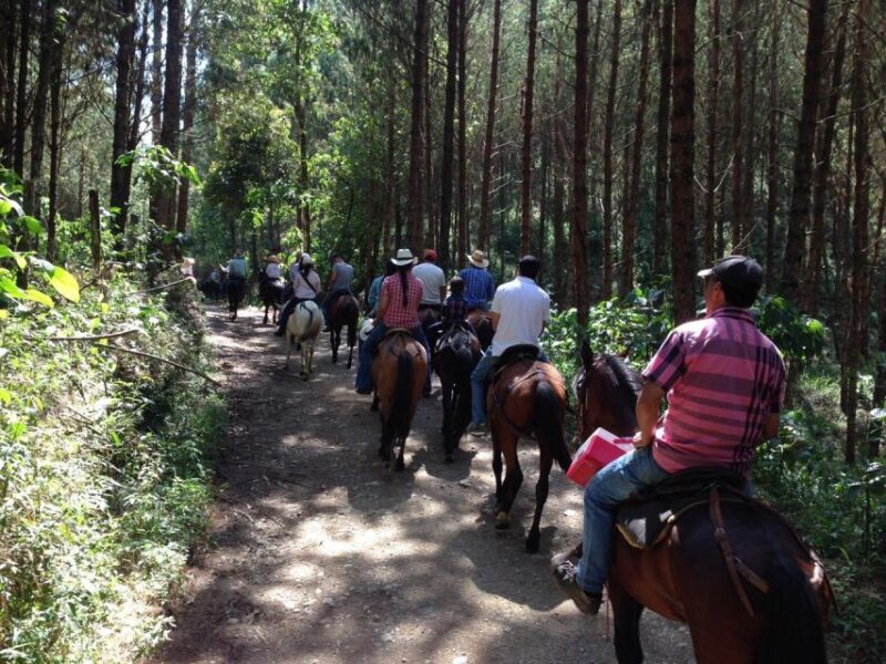 From Medellin: Guided Horseback Riding Tour in Nature - Frequently Asked Questions