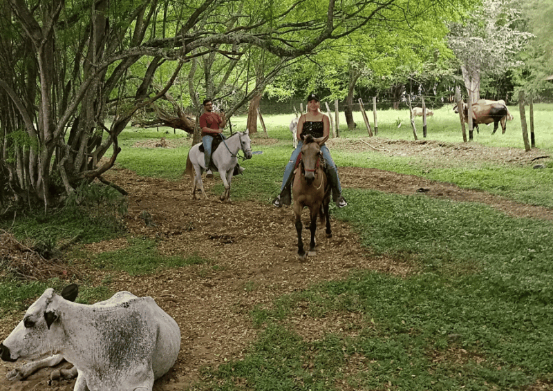 From Medellín: Horseback Tour + Visit to Santa Fe De Antioquia - Experience Highlights
