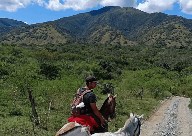 From Medellín: Horseback Tour + Visit to Santa Fe De Antioquia - Important Information