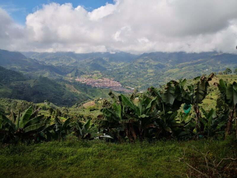 From Medellín: Jardín Town and Coffee Farm Full-Day Tour - Tour Highlights
