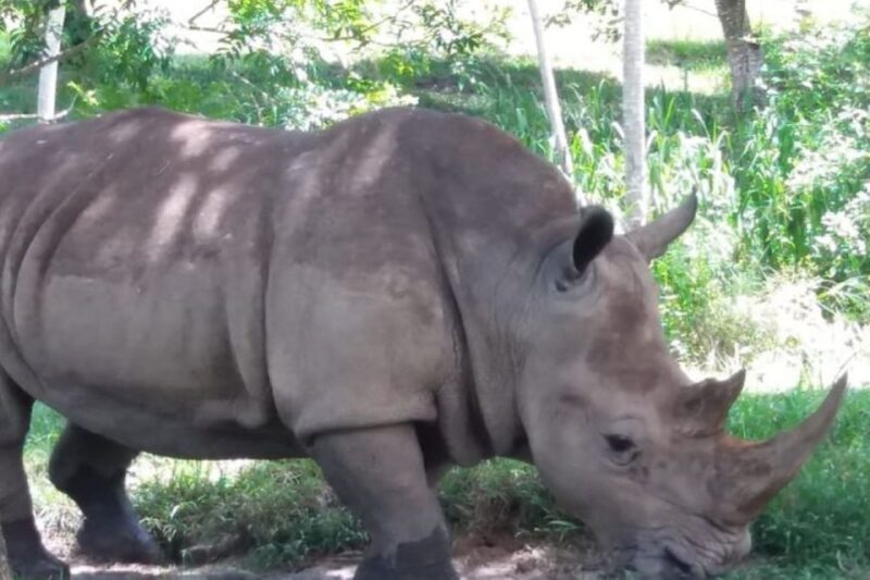 From Medellín: Pablo Escobar's Hacienda Nápoles Private Tour - Customer Reviews