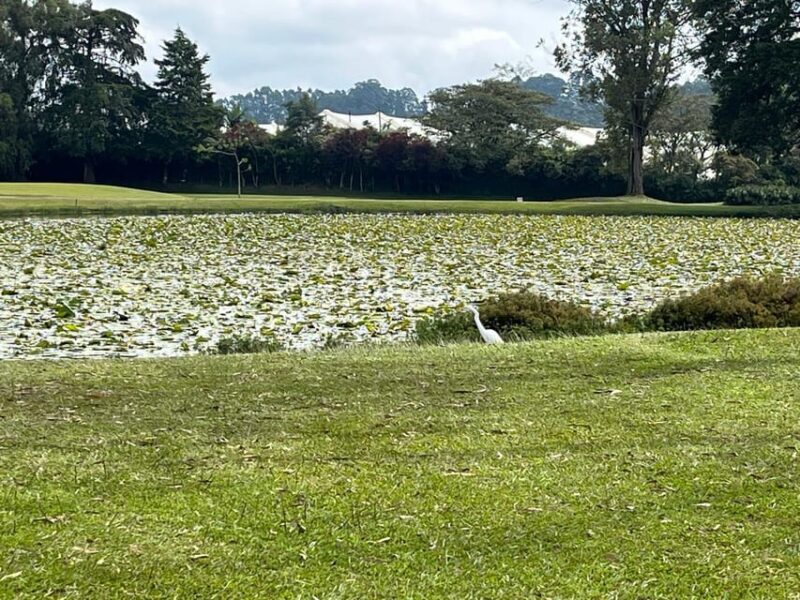 From Medellín: Play GOLF in Rionegro! Private Tour by SUV - Pickup and Return