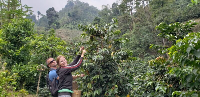 From Medellin: Private Envigado Coffee Tour With Tastings - Learn About Colombias Coffee Culture