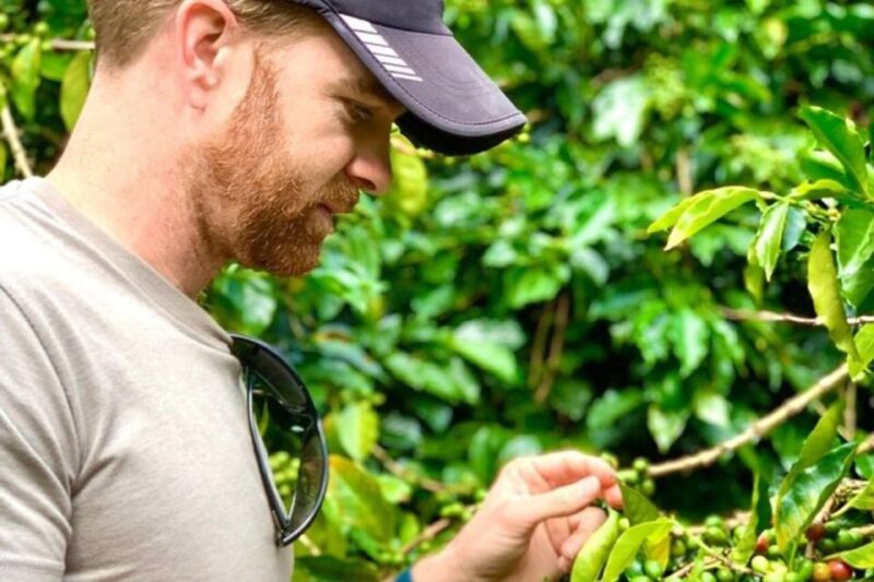 From Medellin: Private Guatape Car Tour With Coffee Tour - Itinerary Highlights