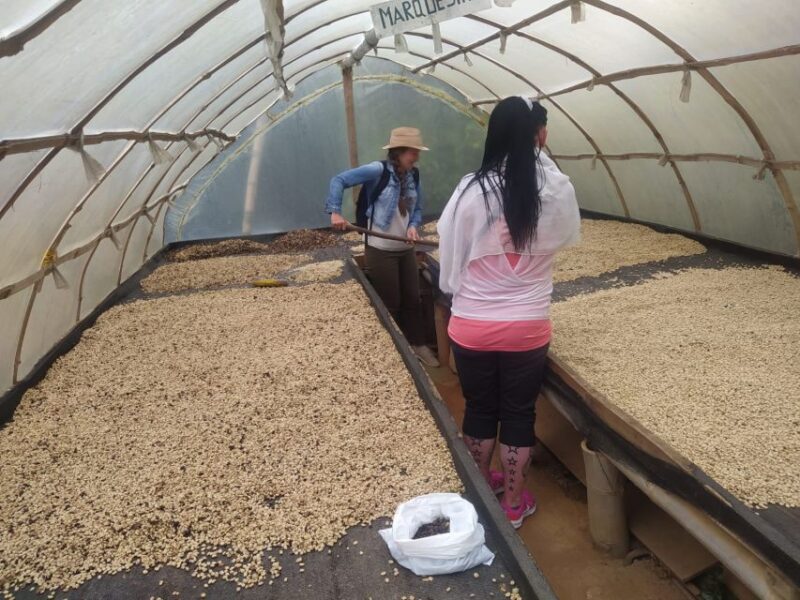 From Medellin: Private Guatape Car Tour With Coffee Tour - Experiences and Attractions