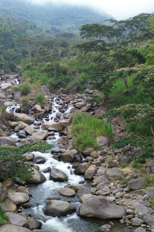 From Medellín: Swim in Waterfall and Rivers 2-Day Tour - Activities and Highlights