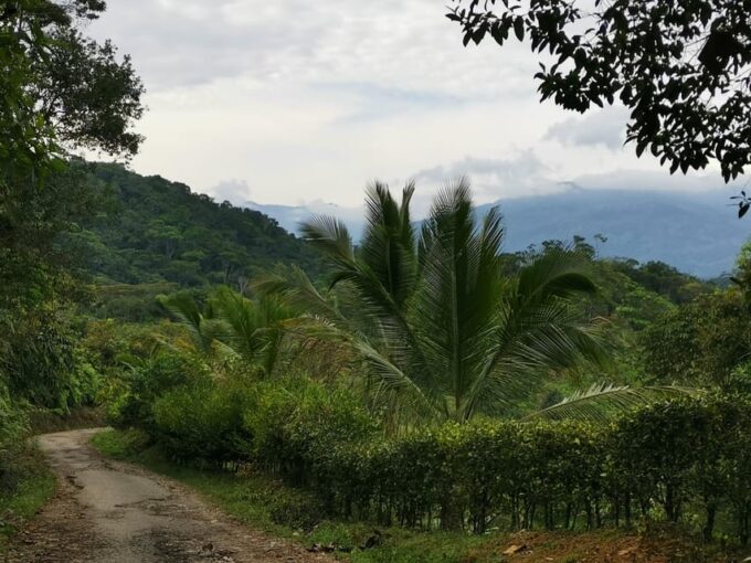 From Medellín: Swim in Waterfall and Rivers 2-Day Tour - Getting There