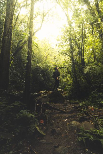 From Medellin Waterfalls: Guided Hiking Tour in Nature - Itinerary Details