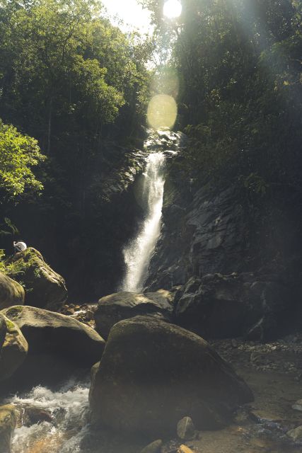 From Medellin Waterfalls: Guided Hiking Tour in Nature - Customer Feedback and Ratings