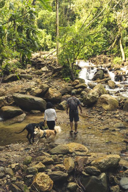 From Medellin Waterfalls: Guided Hiking Tour in Nature - Departure and Transportation