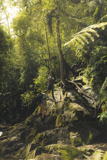 From Medellin Waterfalls: Guided Hiking Tour in Nature - Frequently Asked Questions