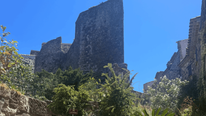 From Medieval Evenos to Bandol Wines : a Taste of Provence - Important Information and Safety Considerations