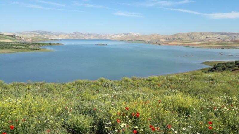 From Meknes: Day Trip to Chefchaouen - Key Points