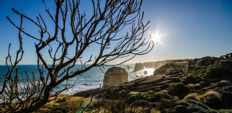 From Melbourne: 2-Day Great Ocean Road & Grampians Escape - Abundant Native Wildlife Encounters