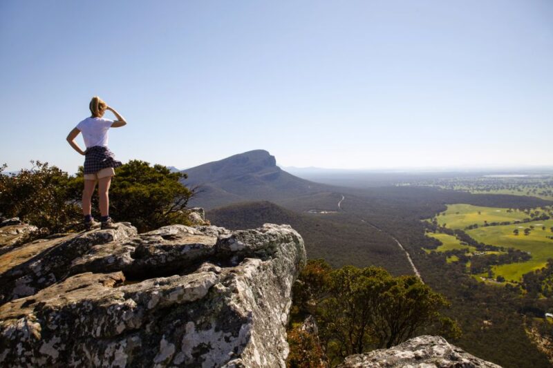 From Melbourne: 3-Day Great Ocean Road Grampians Tour - Day 1: Great Ocean Road and Rainforest