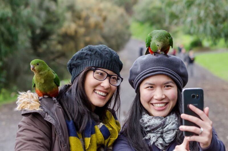 From Melbourne: 3-Day Great Ocean Road Grampians Tour - Overnight in Warrnambool