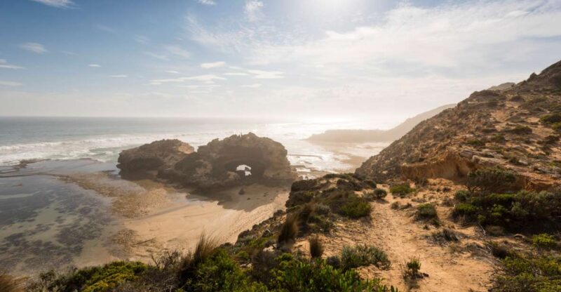 From Melbourne: Bay Sightseeing and Ferry Ride With Lunch - Narana Aboriginal Cultural Centre