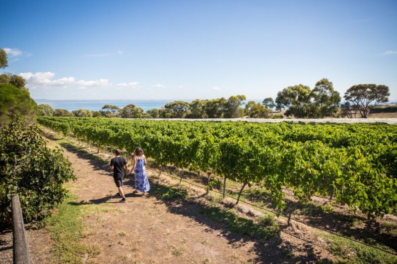 From Melbourne: Bellarine Hop-On Hop-Off Bus and Ferry - What to Expect on the Tour
