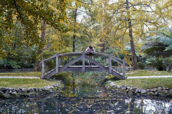 From Melbourne: Dandenong Ranges Private Day Tour - Pickup and Inclusions