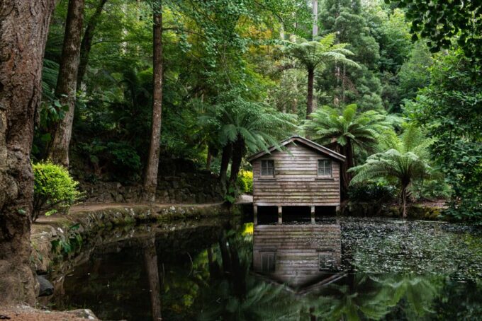 From Melbourne: Dandenong Ranges Private Day Tour - Frequently Asked Questions