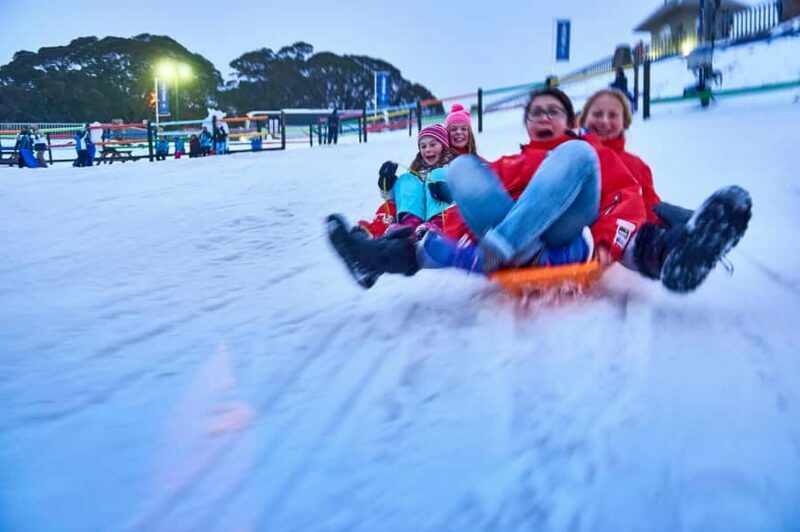From Melbourne: Day Trip to Mt Buller by Premium Tour Coach - Key Points