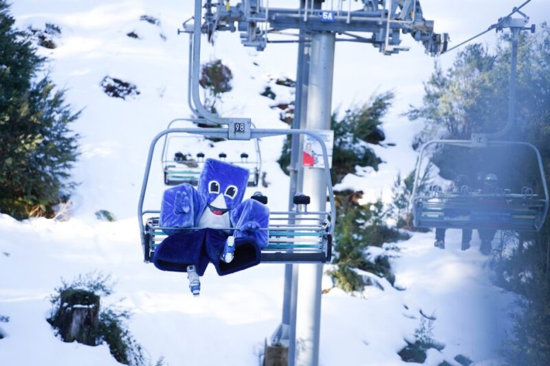 From Melbourne: Day Trip to Mt Buller by Premium Tour Coach - Key Points