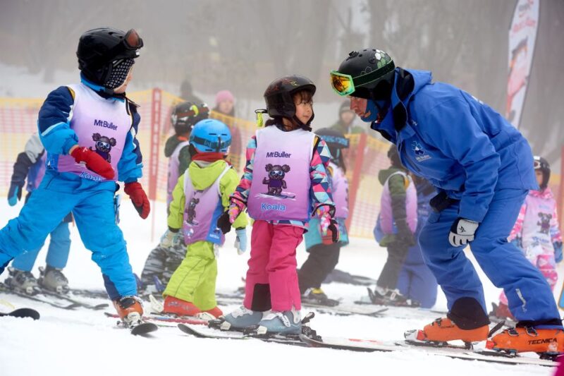 From Melbourne: Day Trip to Mt Buller by Premium Tour Coach - Transportation and Itinerary