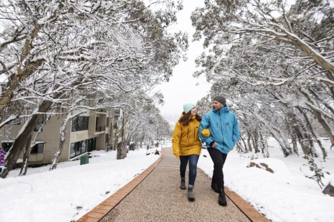 From Melbourne: Day Trip to Mt Buller by Premium Tour Coach - Recap