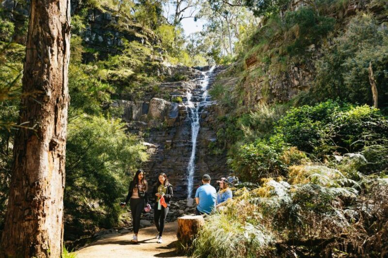 From Melbourne: Grampians National Park Group Tour - Hike to Silverband Falls